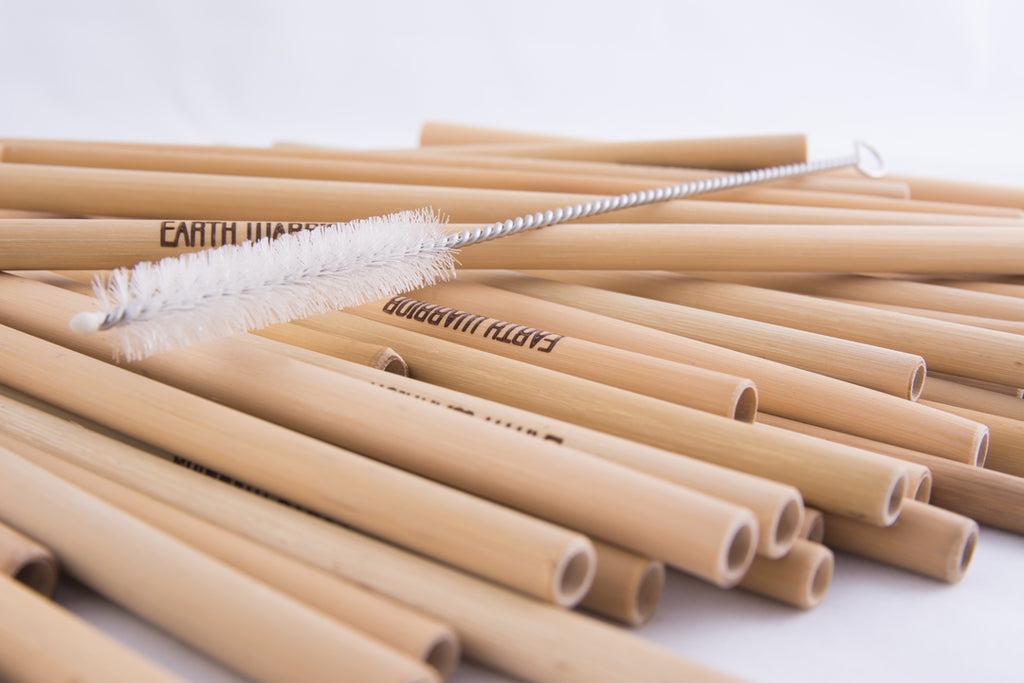 Straw Cleaners – Earth Warrior®