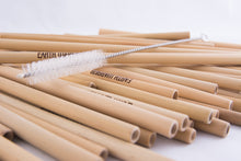 Reusable Straw Cleaners | Earth Warrior™